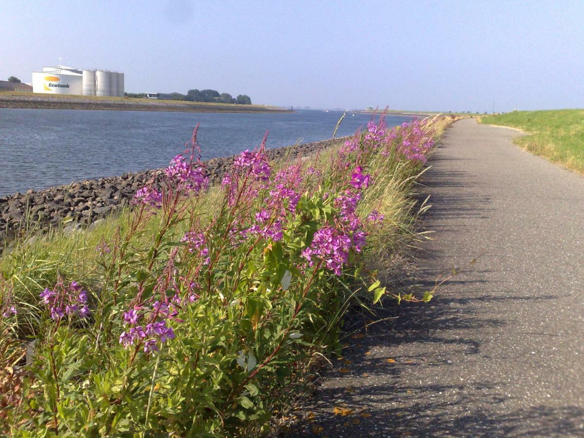 Willa Middensluis 7 Wemeldinge Zewnętrze zdjęcie